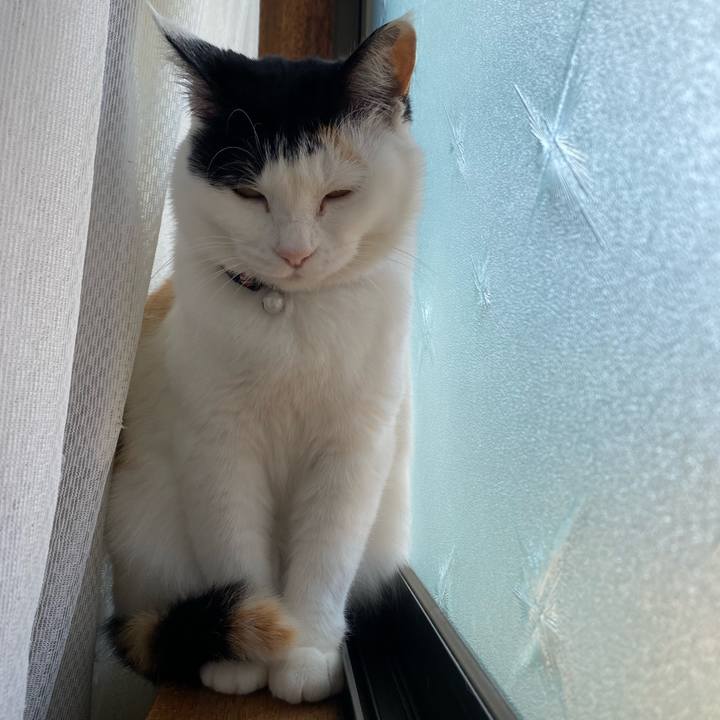 Ae6c7d10 b111 4be3 8eca 3903155a13da 1649797248053