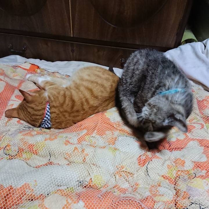 Ae6ca286 32b5 45d1 b255 5973fbc708ce 1569501485651