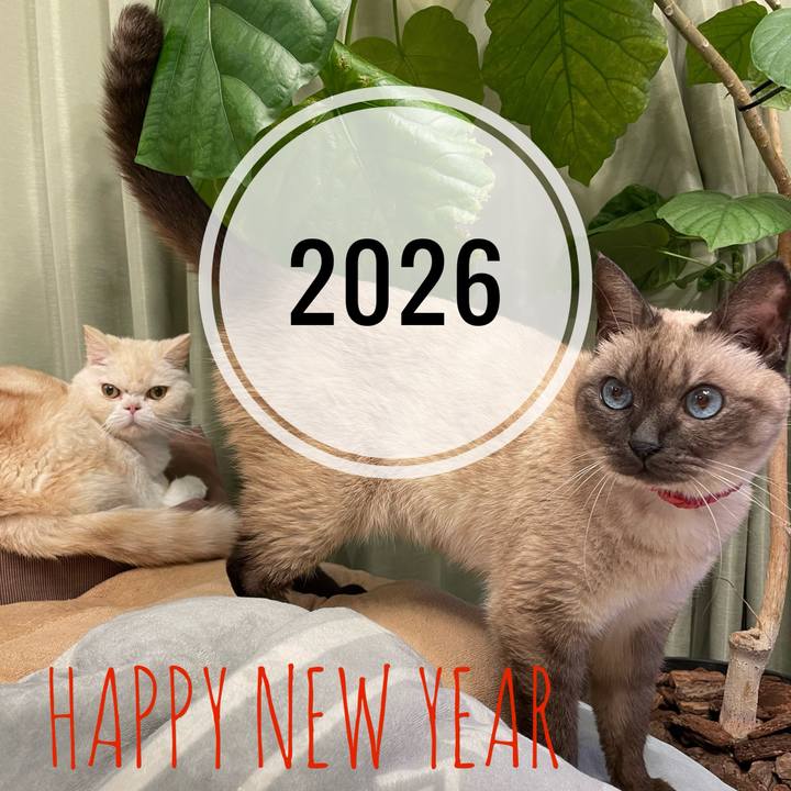 Ae6ca624 ba8f 459f 9db7 f47c83d5b0d5 1767193466647