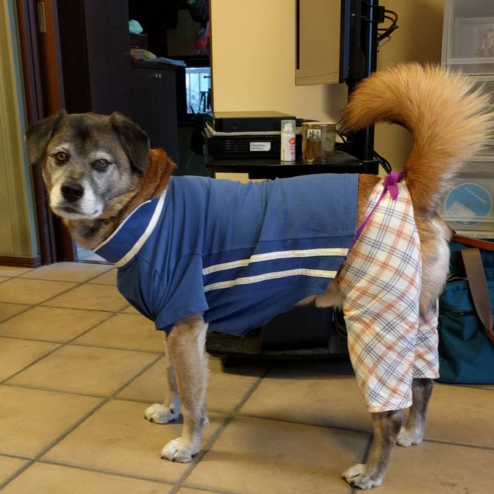 Ae6ca640 8fde 4439 bec0 ed11729c0271 1516753928209