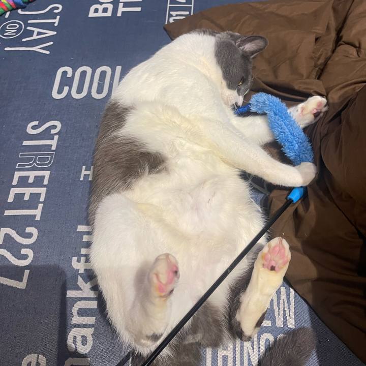 Ae6cbdcc 7282 4cee 909f 32143246a1d7 1707570815466