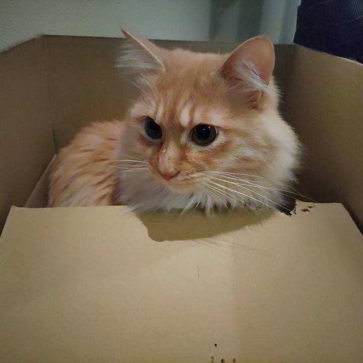 Ae6ce722 60b7 441d 8916 b6e92ce0d330 1672735242786