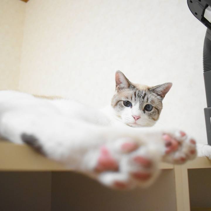 Ae6ceb25 0985 468e 8dc8 89de429c9a03 1533812956166