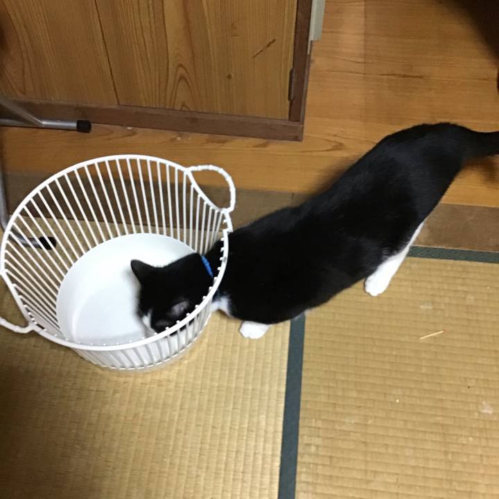 Ae6d0780 41ab 4824 9ca8 cdd8dd7806c2 1696143835104