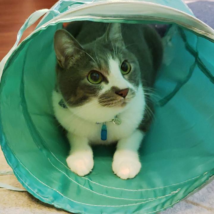 Ae6d1686 a781 4c99 95fb 9db2238ba884 1671894891757