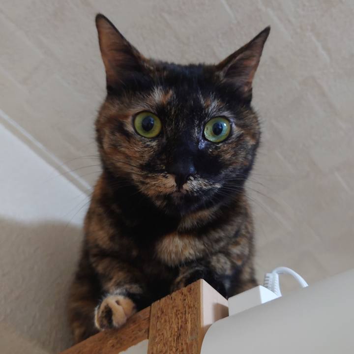 Ae6d295a ab92 4590 9f34 2a91b6d142c8 1741960139385