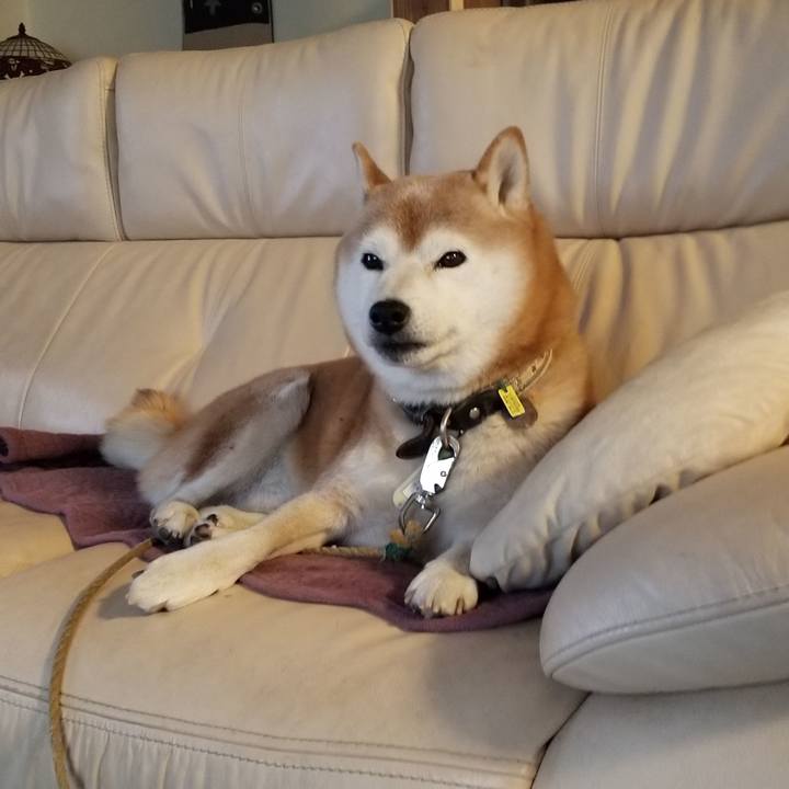 Ae6d2e29 6e54 405f a011 0ff5cb3b425a 1668034161290