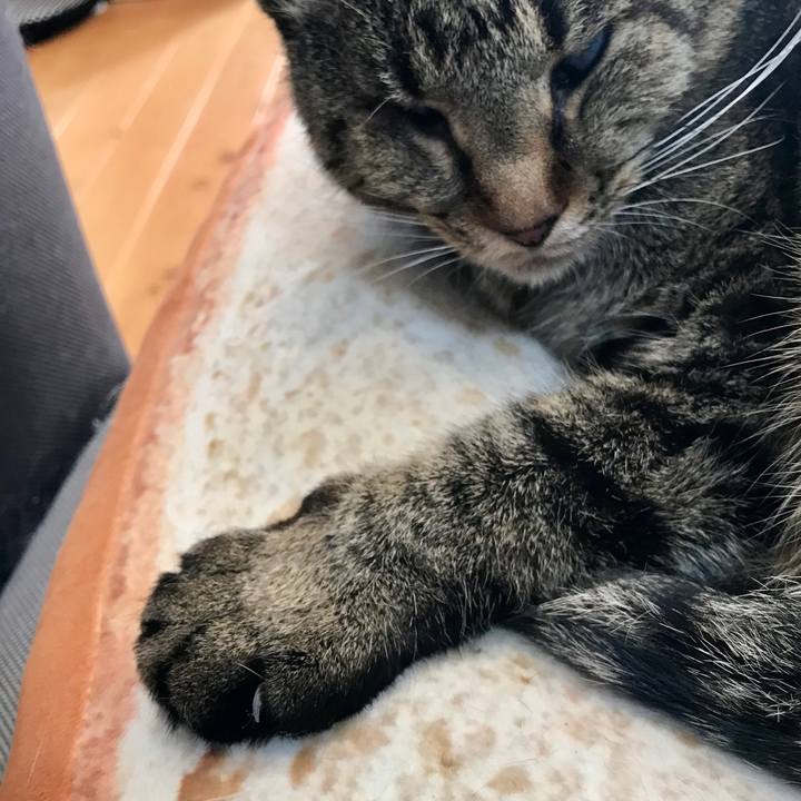 Ae6d6711 f2f1 49bc a9ad dbb244d36d7d 1581069365434