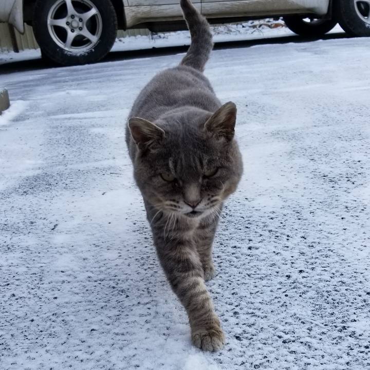 Ae6d6b23 88da 4a5c 8317 7a70b3b57ad7 1543562267017