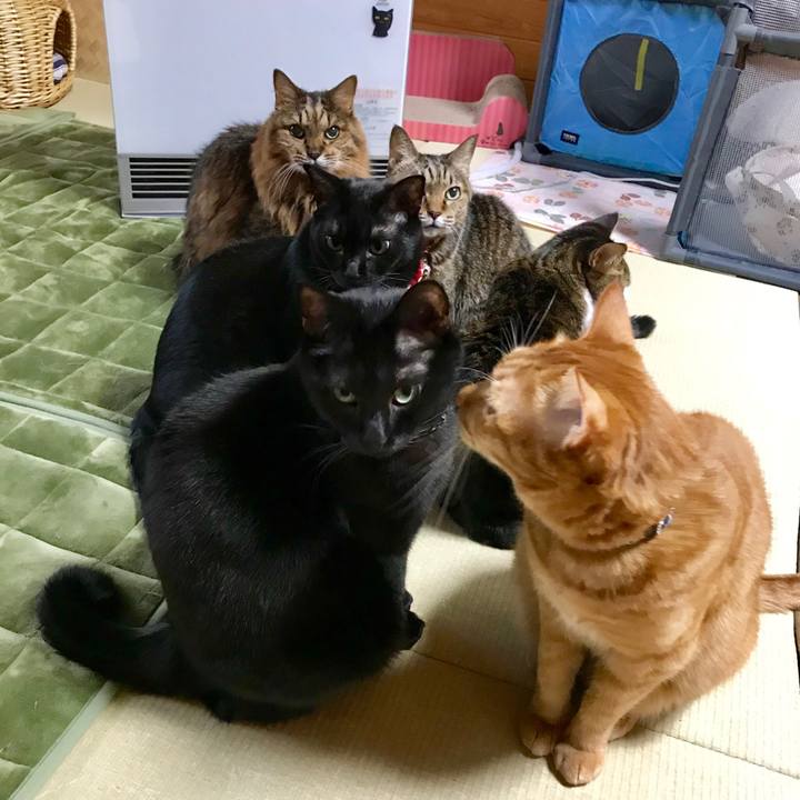 Ae6d80af 582b 456d 9001 954d6818e3e4 1511048928096