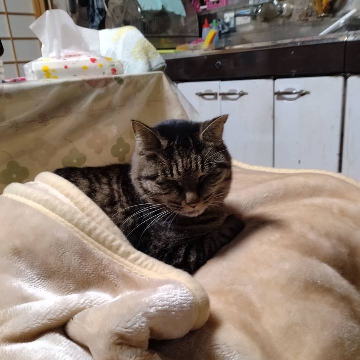 Ae6d88ca aa1d 4a32 81a1 18f75e3e39cf 1703540309380