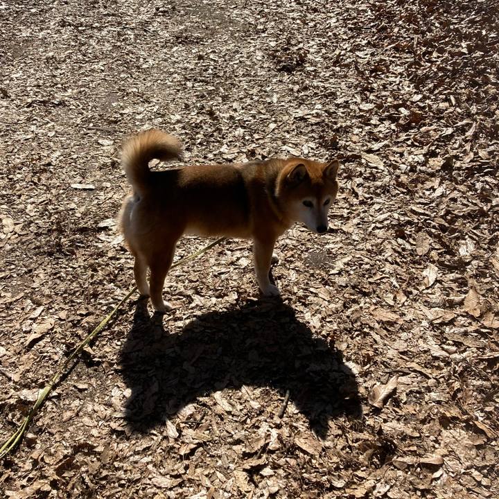 Ae6dc53b 2ff0 4a91 b641 c8abaa2ae318 1677399216730