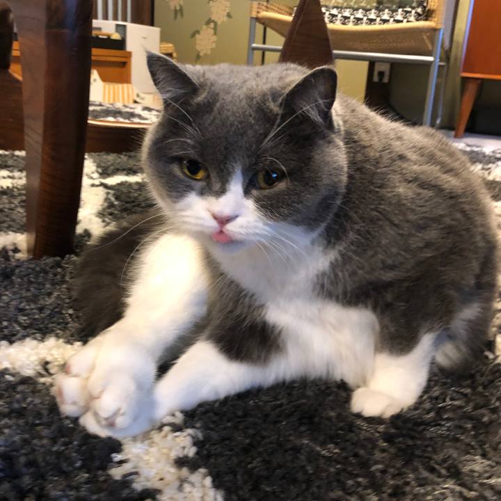 Ae6dc5cb 2426 484b 90ef b21c888546c8 1580541730919