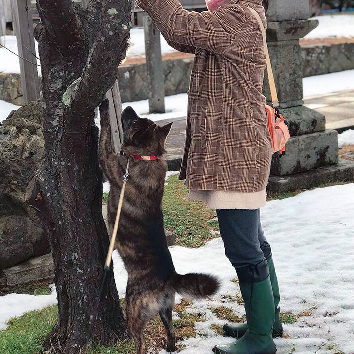 Ae6dc731 ccb0 4284 b49d 9f07f333e9fc 1546339704347