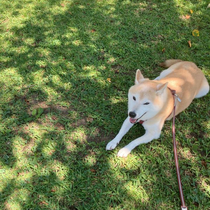 Ae6de92b b8b8 4c9c 8566 caec09bc6e11 1636295627067