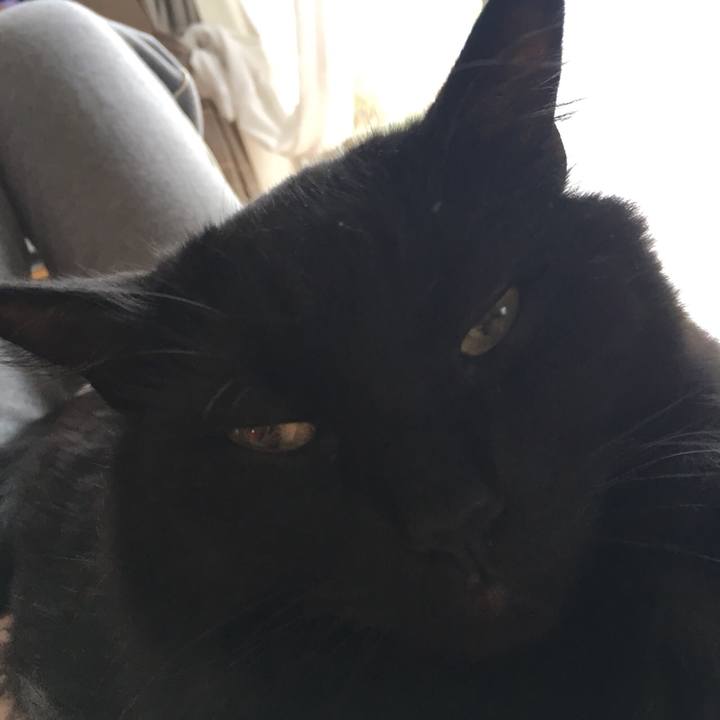 Ae6e01c4 681e 431d 88c9 bcabcb44ae1d 1527730642110