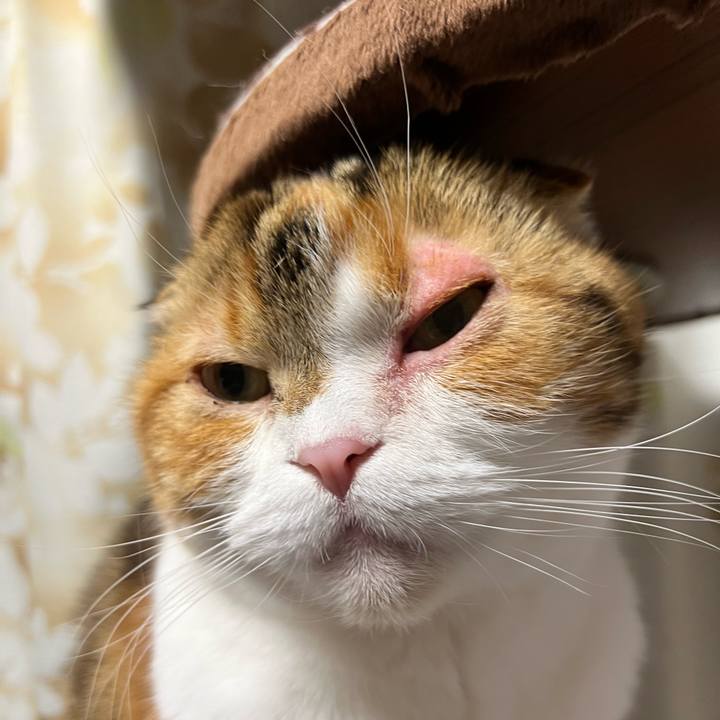 Ae6e0b61 bedb 40d3 b863 a8f93767991a 1706258106971