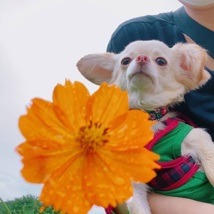 Ae6e1a40 7067 4b3e b381 782437b79d25 1629110081195