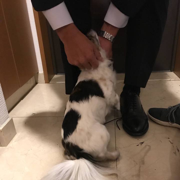 Ae6e4c13 065f 436c 8347 e6d05ab9b2c6 1518105339711