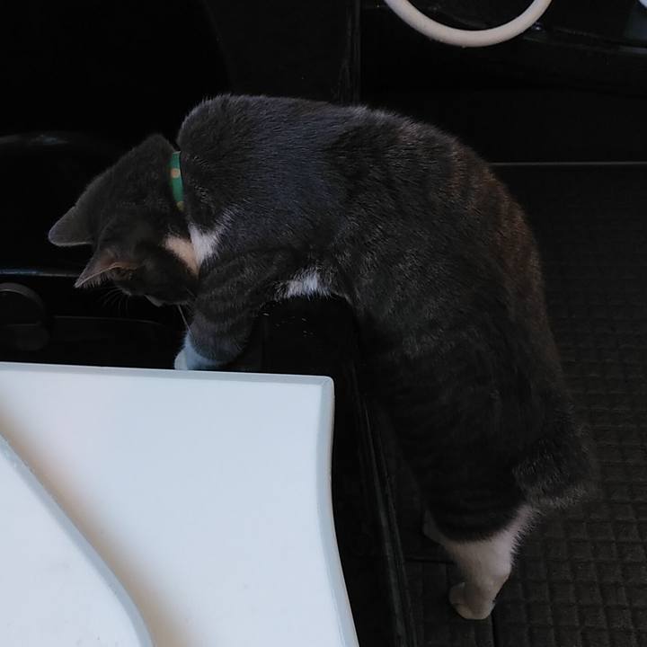 Ae6e6962 226f 4dab b5c0 a2b832cff795 1580943800594