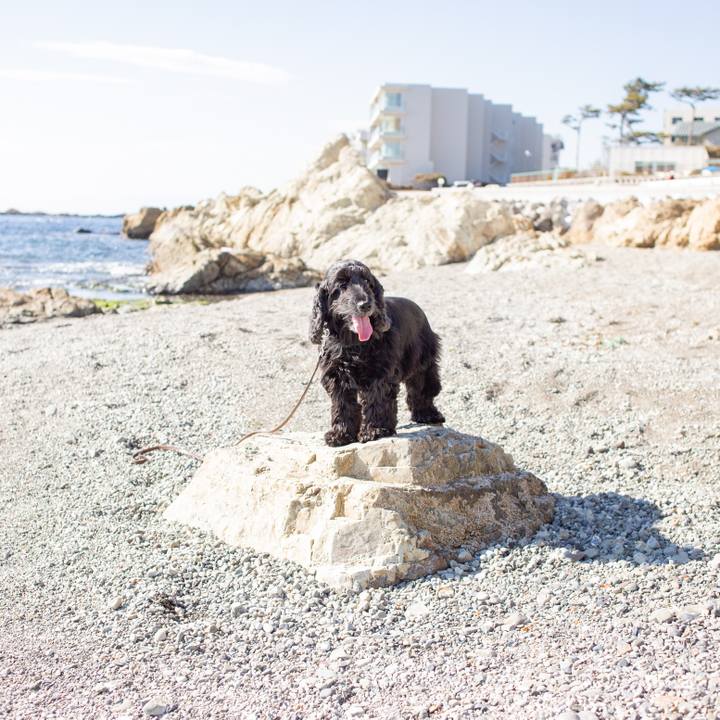 Ae6e8195 36be 4974 8c92 8a15f7cc58df 1550900301333