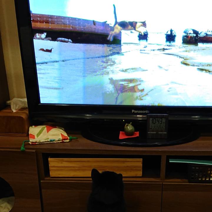 Ae6ea2f3 1ea3 44fc b261 55224ee939f7 1589328691980