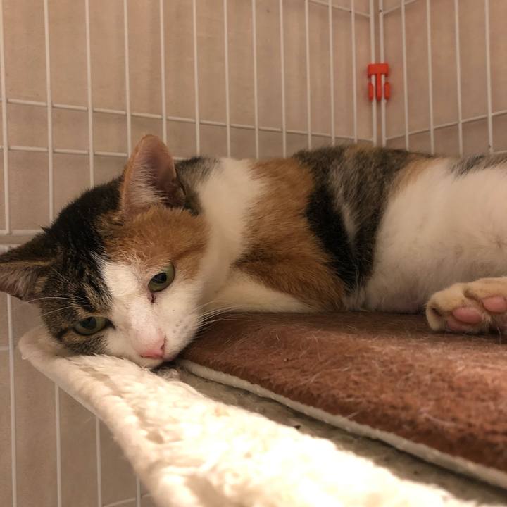 Ae6ed073 4868 4914 b308 7b349fd476d5 1573727681579