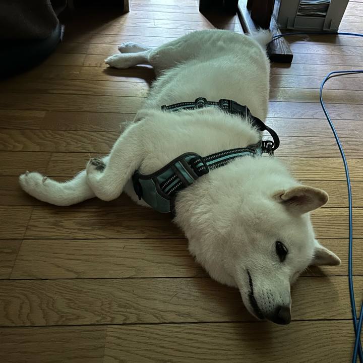 Ae6ed3ad a543 4c9b 9fdd 920710d2b218 1757281378262