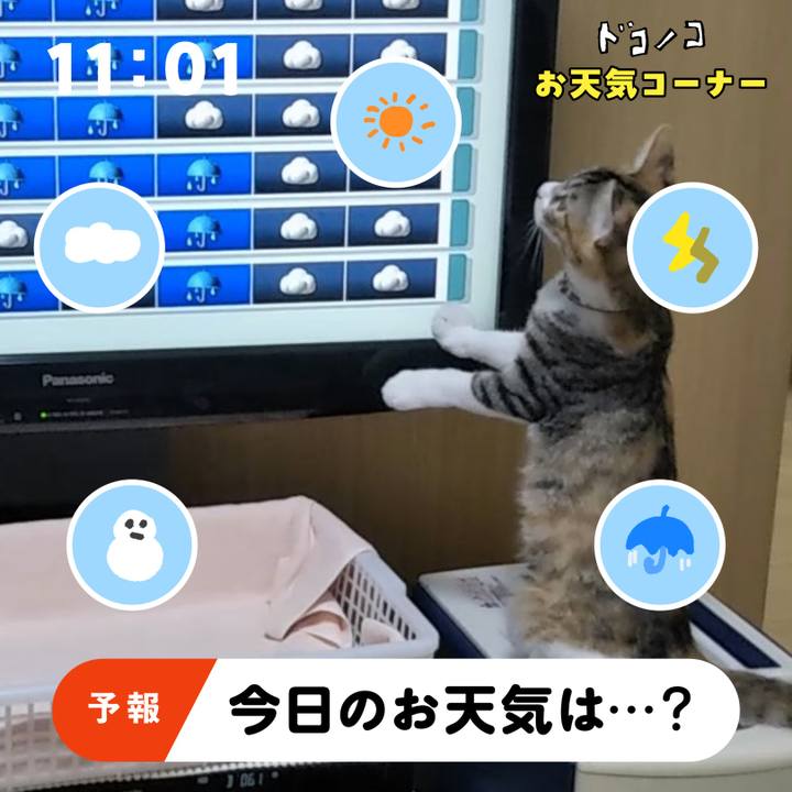 Ae6eeb82 0c1d 4e30 be16 b859bd3b13da 1781732475033