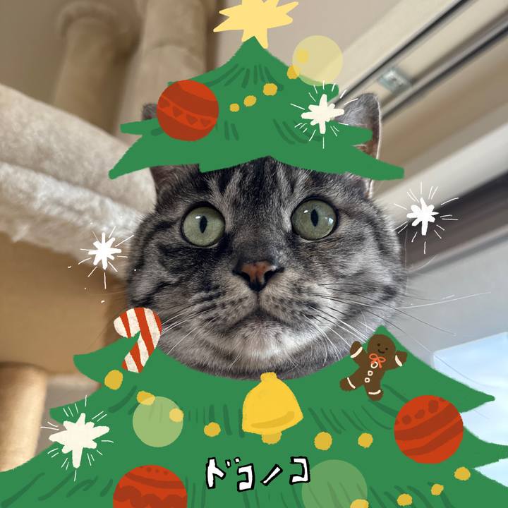 Ae6eefd5 ad16 4c8c aa36 81b2cde7a9e4 1764220205472