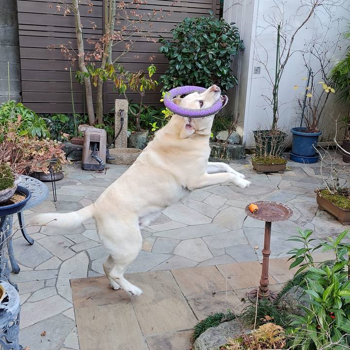 Ae6ef920 4648 414a ba22 5b97abc07f94 1766466042745