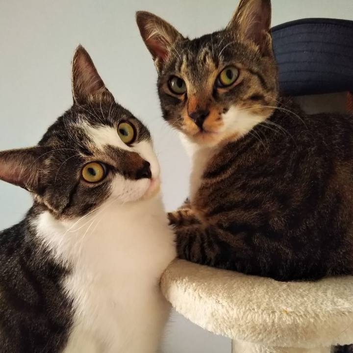 Ae6f14db 9067 4b45 bb64 e6812224bde7 1609170692592