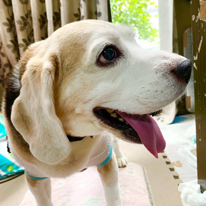 Ae6f1c1f 0e8e 4737 9409 9012b9d7a927 1662101629897