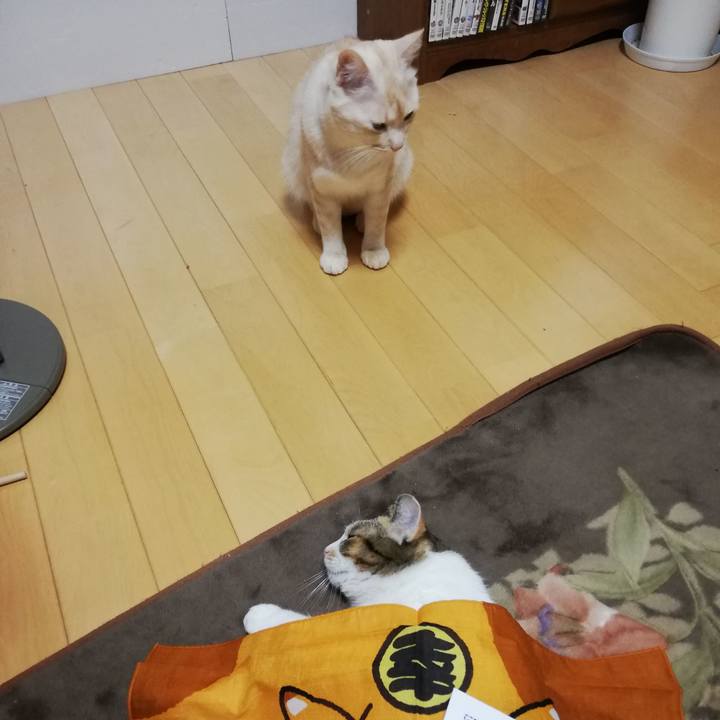 Ae6f3563 b46e 4bc2 b099 6af39306bd8e 1605222057585