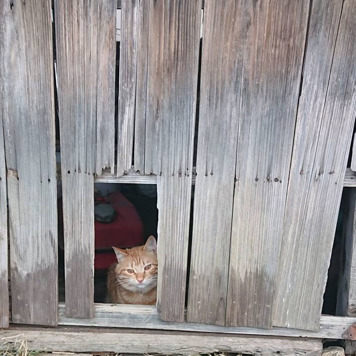 Ae6f68a4 9782 4458 bfef d9eac0860e14 1644715587185