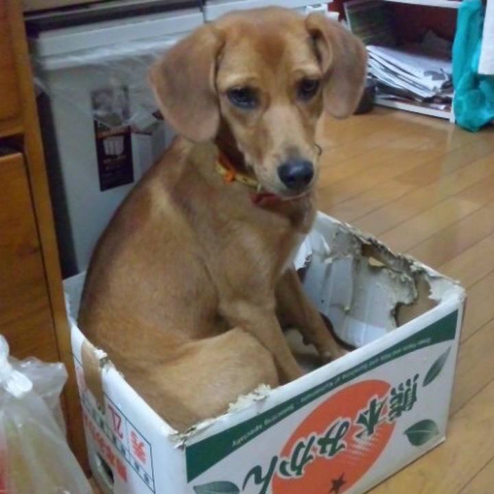 Ae6f7009 c2d8 4c45 9617 aa0889f9eeee 1515780446937