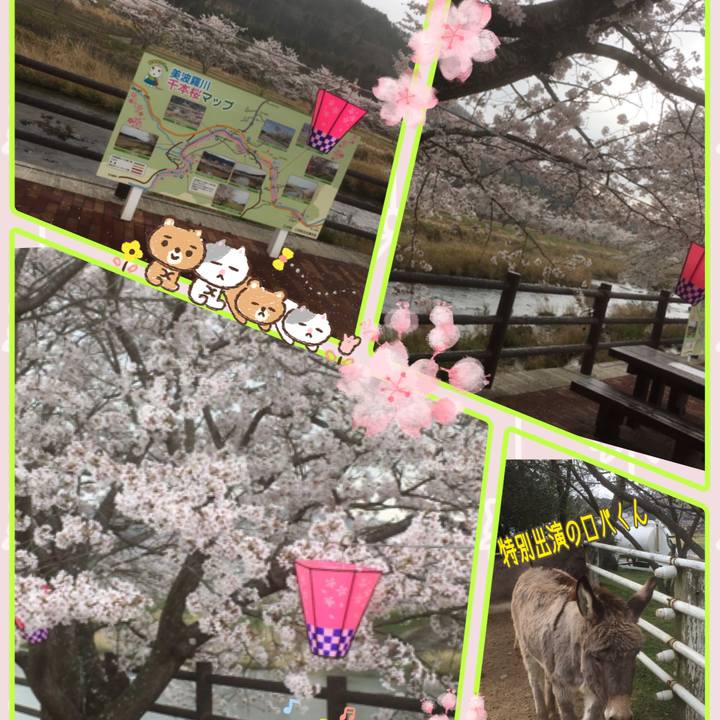 Ae6f79b1 b1f4 4521 a63d 91f080cccb1e 1522824693383