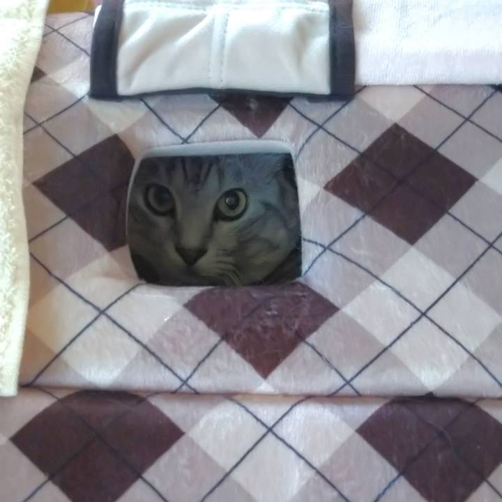 Ae6f8b91 d908 43fb bfb2 c69a8c5dd4e5 1594696737481