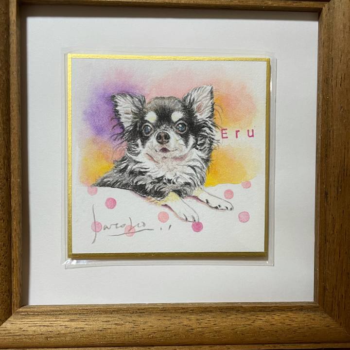 Ae6f9af1 03fe 4354 b609 f32a82ae2f7f 1617104236375