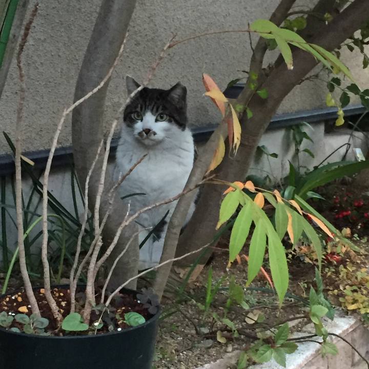 Ae6f9f51 5d74 471b a6a1 bae0eedf0843 1512636018891