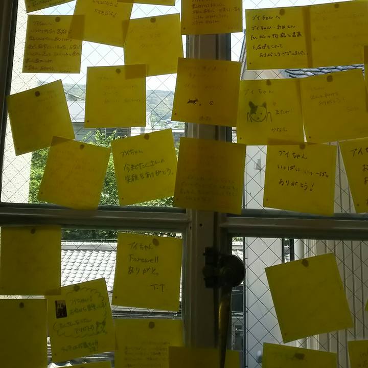 Ae6fdf86 37e6 423c ad22 09ec06537209 1524237182220