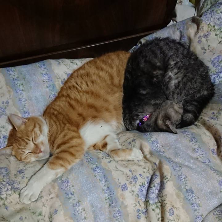 Ae6fe7af e985 4ddf 87d5 06f193742c03 1578659828390