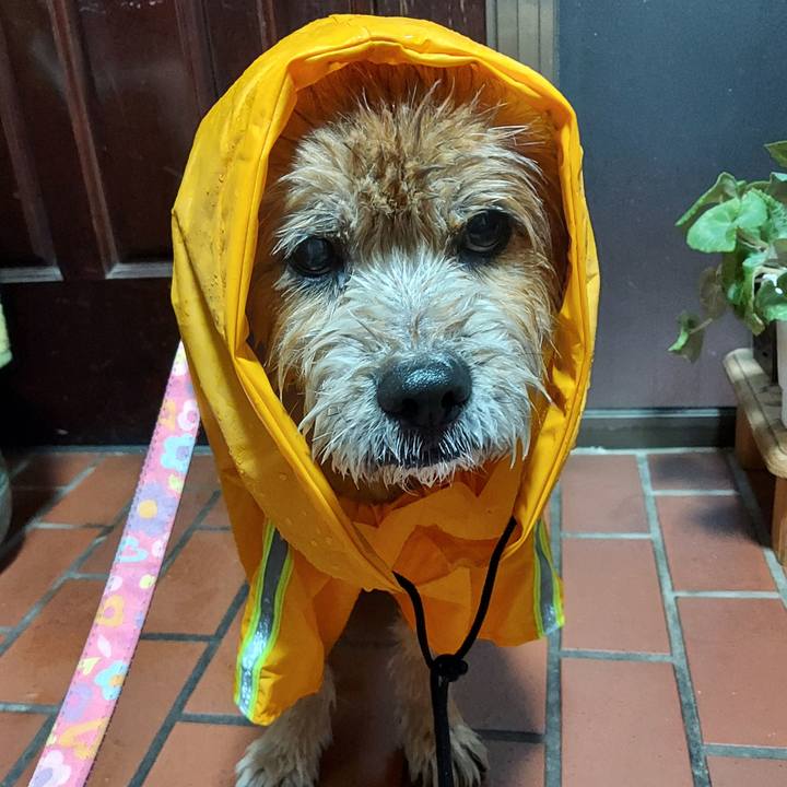 Ae700dbf ee93 4f48 b97d aaf258ad2975 1631870636486