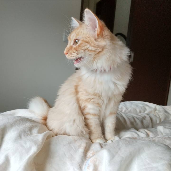 Ae702ed1 c055 4984 806b aa2465bc49f4 1621723994791