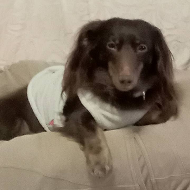 Ae702f06 8b04 4069 85b3 39d77400dd48 1768255139272