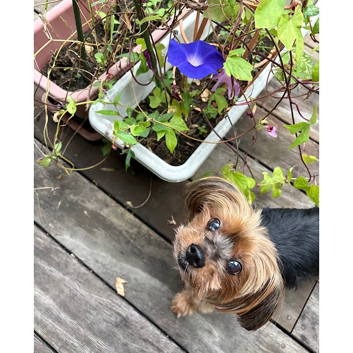 Ae706501 a7d6 40e9 8fff 9c536481538b 1729202398305