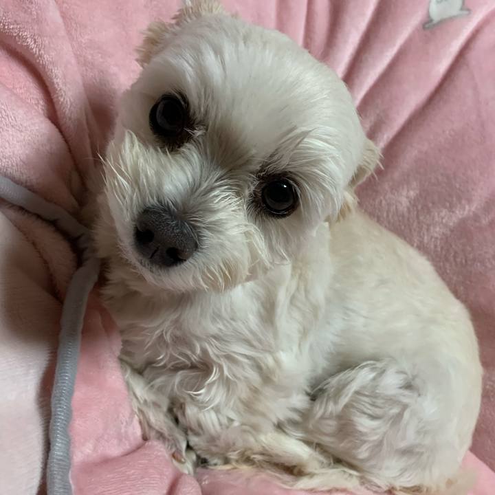 Ae706d1d 1ea3 4e84 876a a54899bda3c5 1610880446859