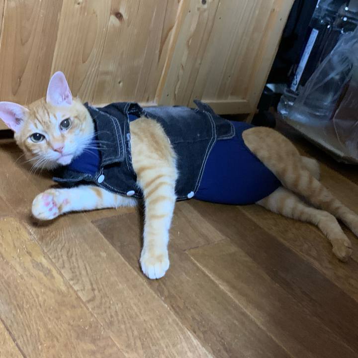 Ae70814f 6bfe 495a 998a 55a130bb0265 1625172721955