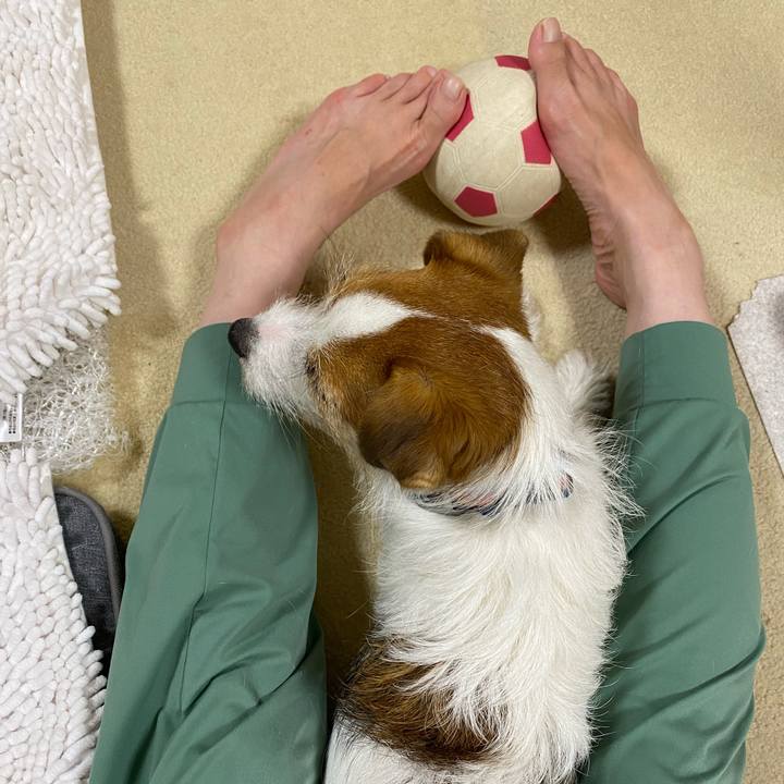 Ae70a5e8 17a2 480d 99bd f09041dbee6b 1694091255398