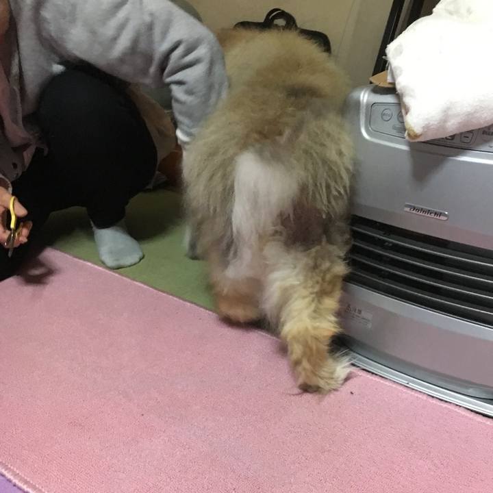 Ae70c2a0 daaa 4e91 a784 c0e404b18396 1585203659381